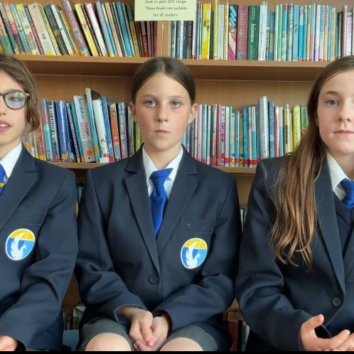Watch our video